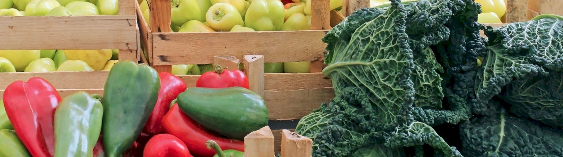 Grossiste en fruits et légumes de Provence